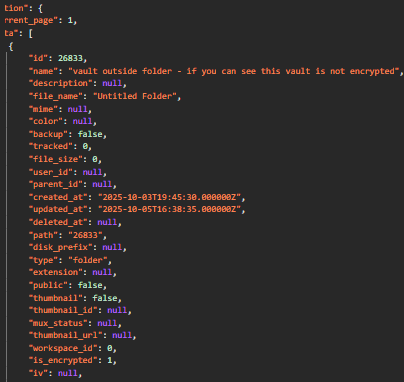 API response showing plaintext metadata
